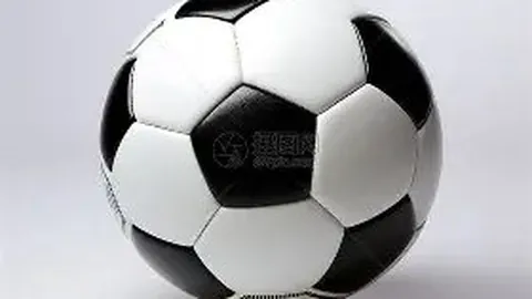 希腊圣火传递备用方案启动，日本称取消尚早